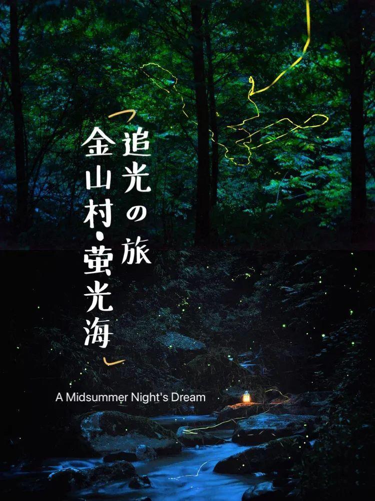 倩女幽魂手游